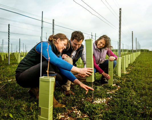 A Family Farm, a New Generation, and a Rather Exciting Vineyard