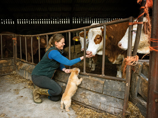 Rowles Farm and Vineyard Featured on BBC News