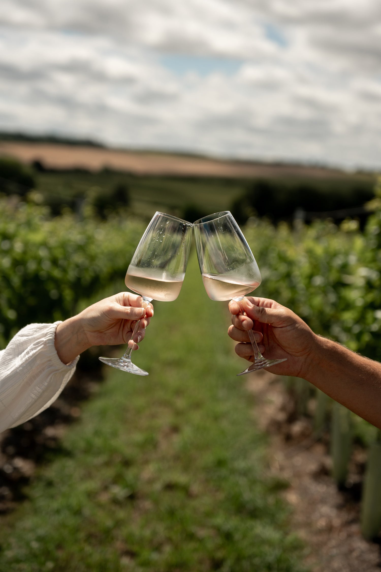 Tours & Tastings