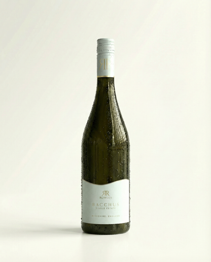 Wine bottle with a silver cap on a light beige background
