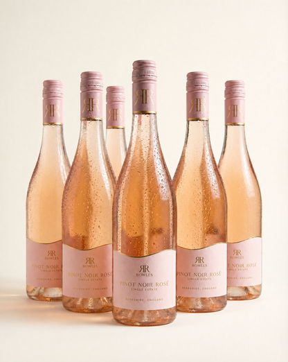 Six bottles of Rose Noire Rosé wine on a light background