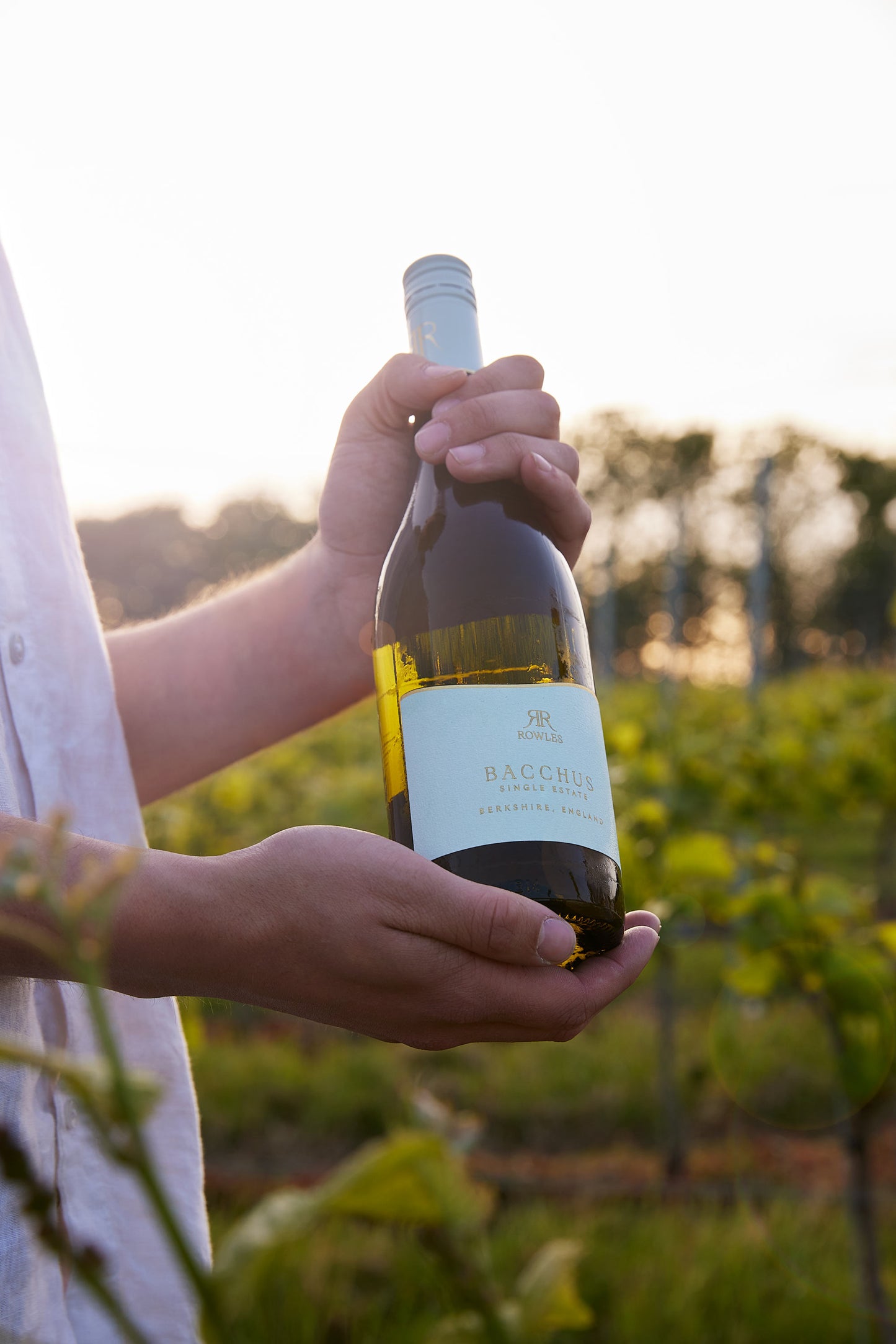 Bacchus | White Wine | Berkshire, England