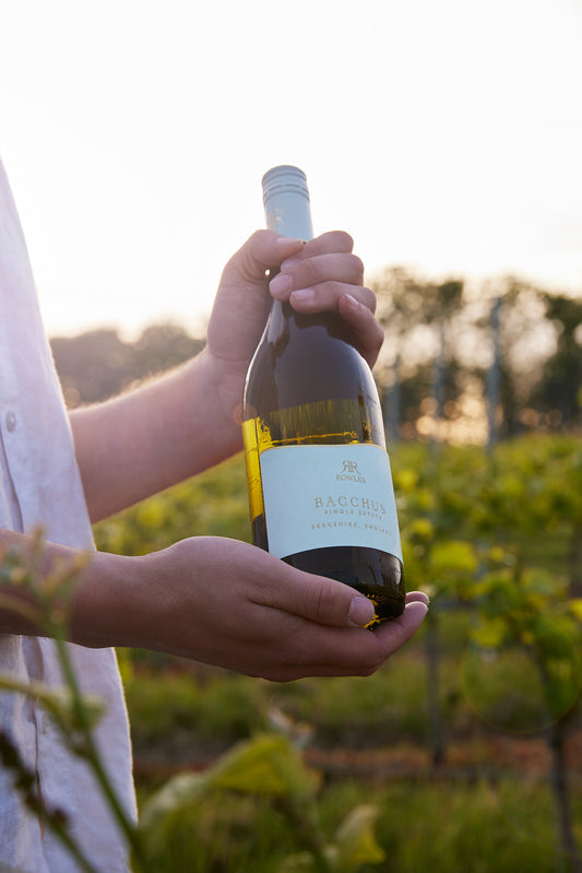 Rowles Private Tour & Tasting