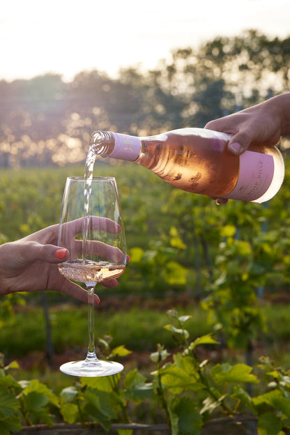 Case of 6 — Pinot Noir Rosé