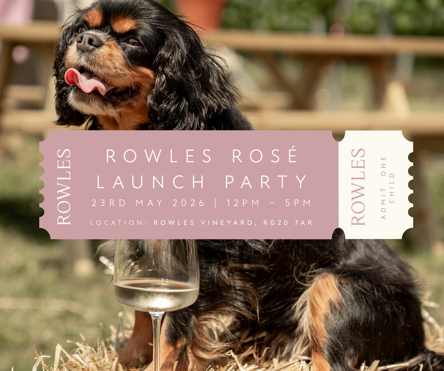 Dog with a glass of wine and Rowles Rosé launch party flyer in the foreground