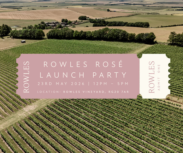 Aerial view of a vineyard with promotional text for Rowles Rosé launch party.