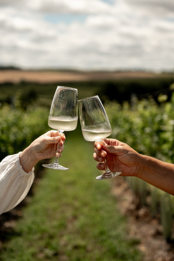 Two people clinking wine glasses in a vineyard with a scenic background