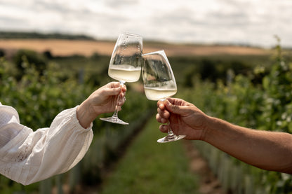 Two people clinking wine glasses in a vineyard