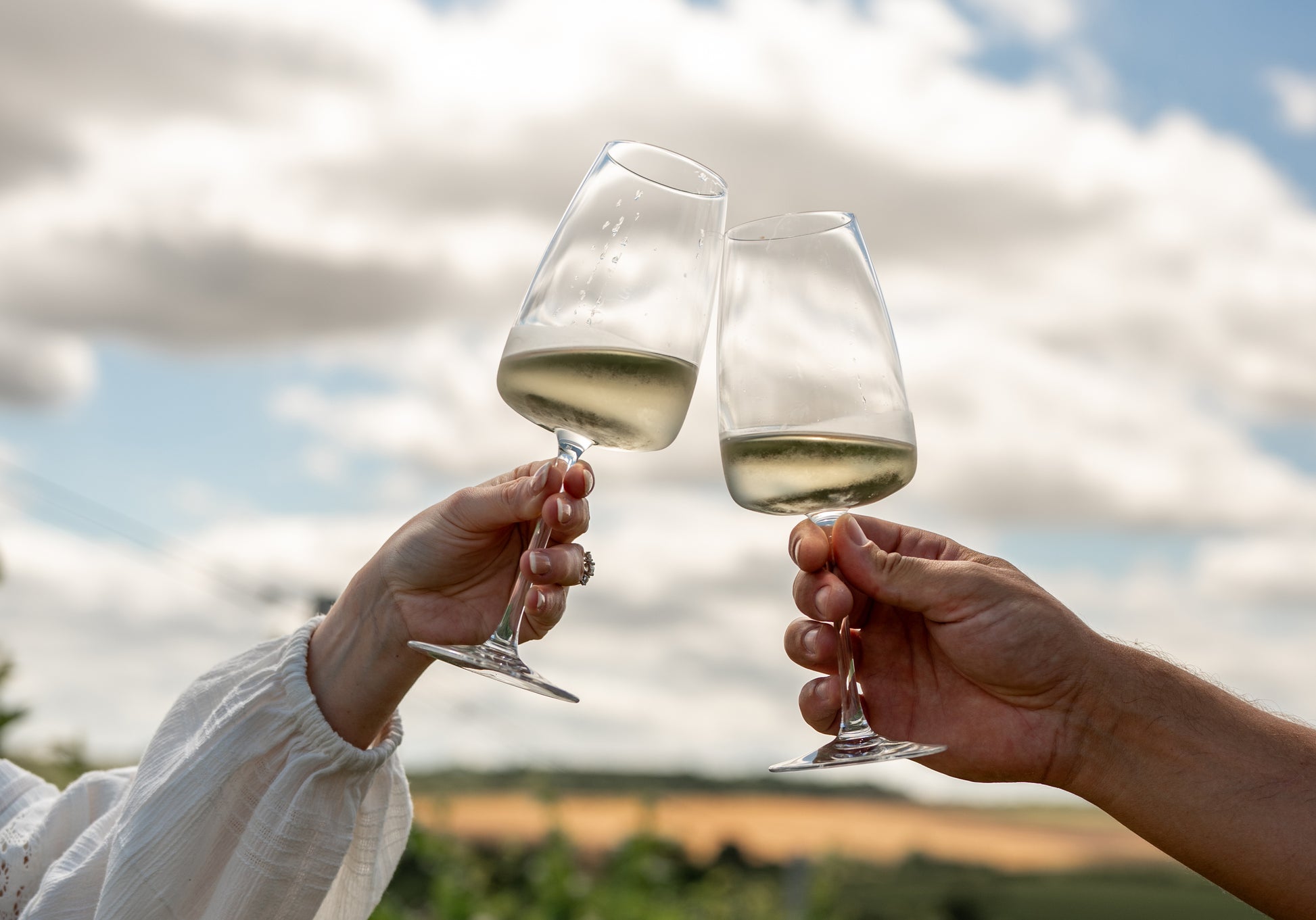 Two people clinking wine glasses against a sky and field background