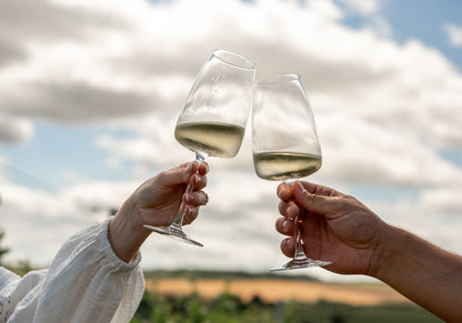 Two people clinking wine glasses against a sky and field background