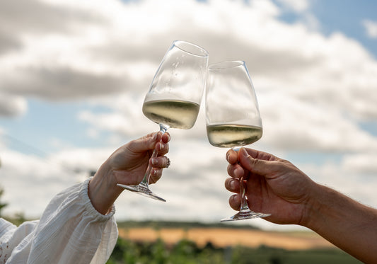 Two people clinking wine glasses against a sky and field background