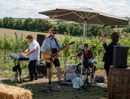 Band performing outdoors under a large umbrella with a scenic background