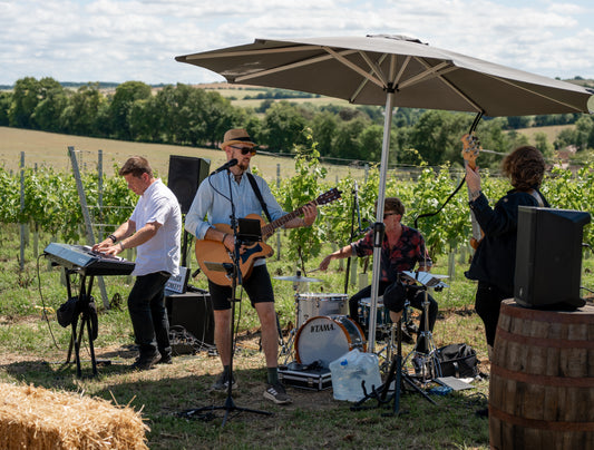 Band performing outdoors under a large umbrella with a scenic background