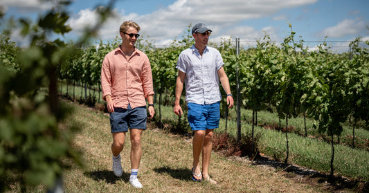 Two men walking through a vineyard on a sunny day.