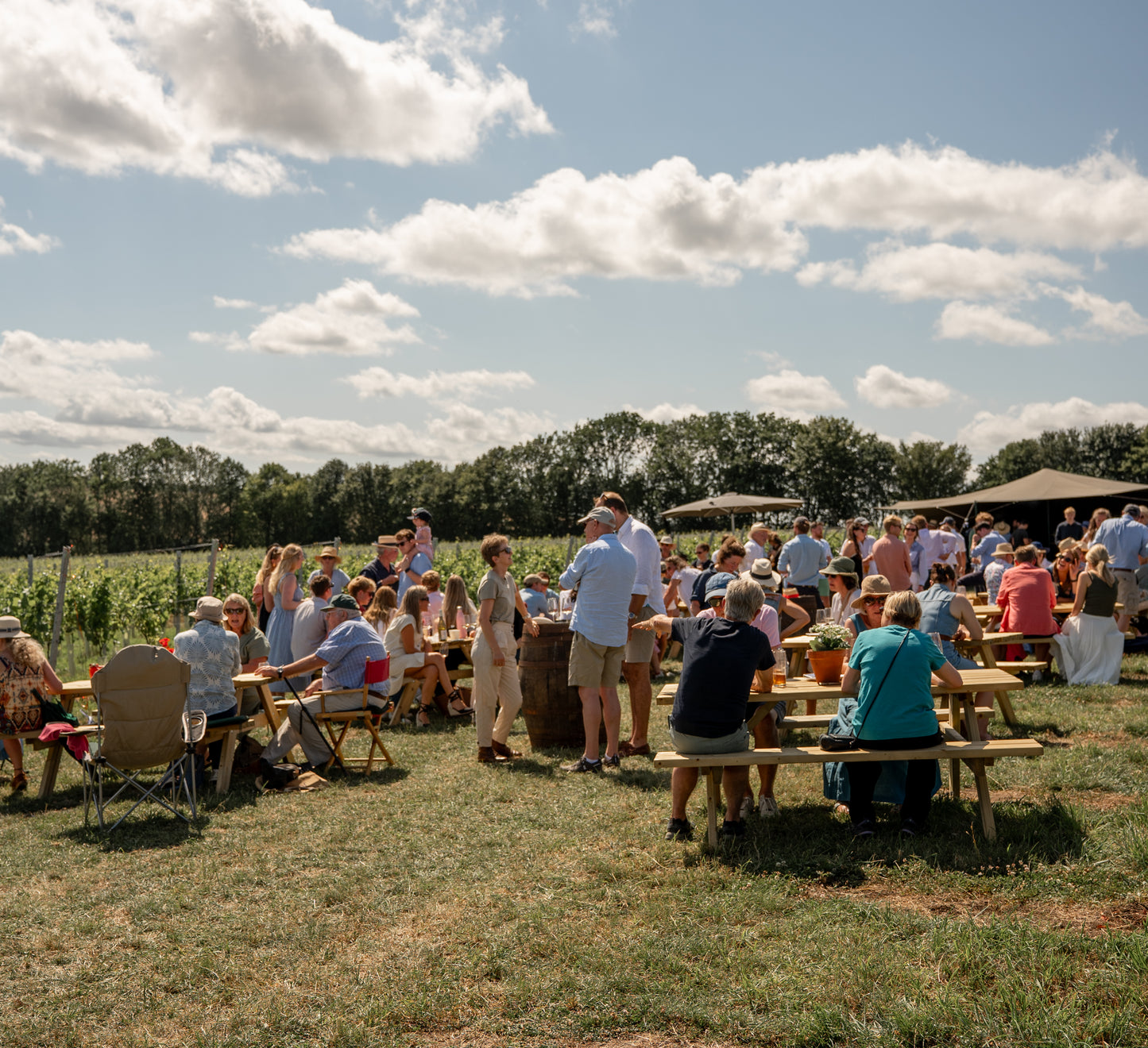 Group of people sitting outdoors at tables with a scenic background