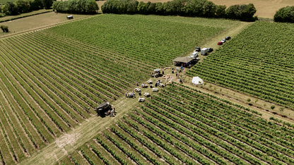 Aerial view of rowles vineyard with event set up