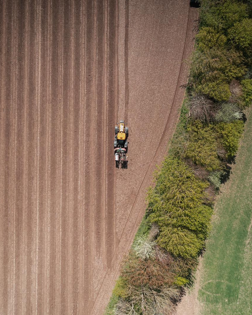 A tractor in a field with a mix of plowed and green areas.