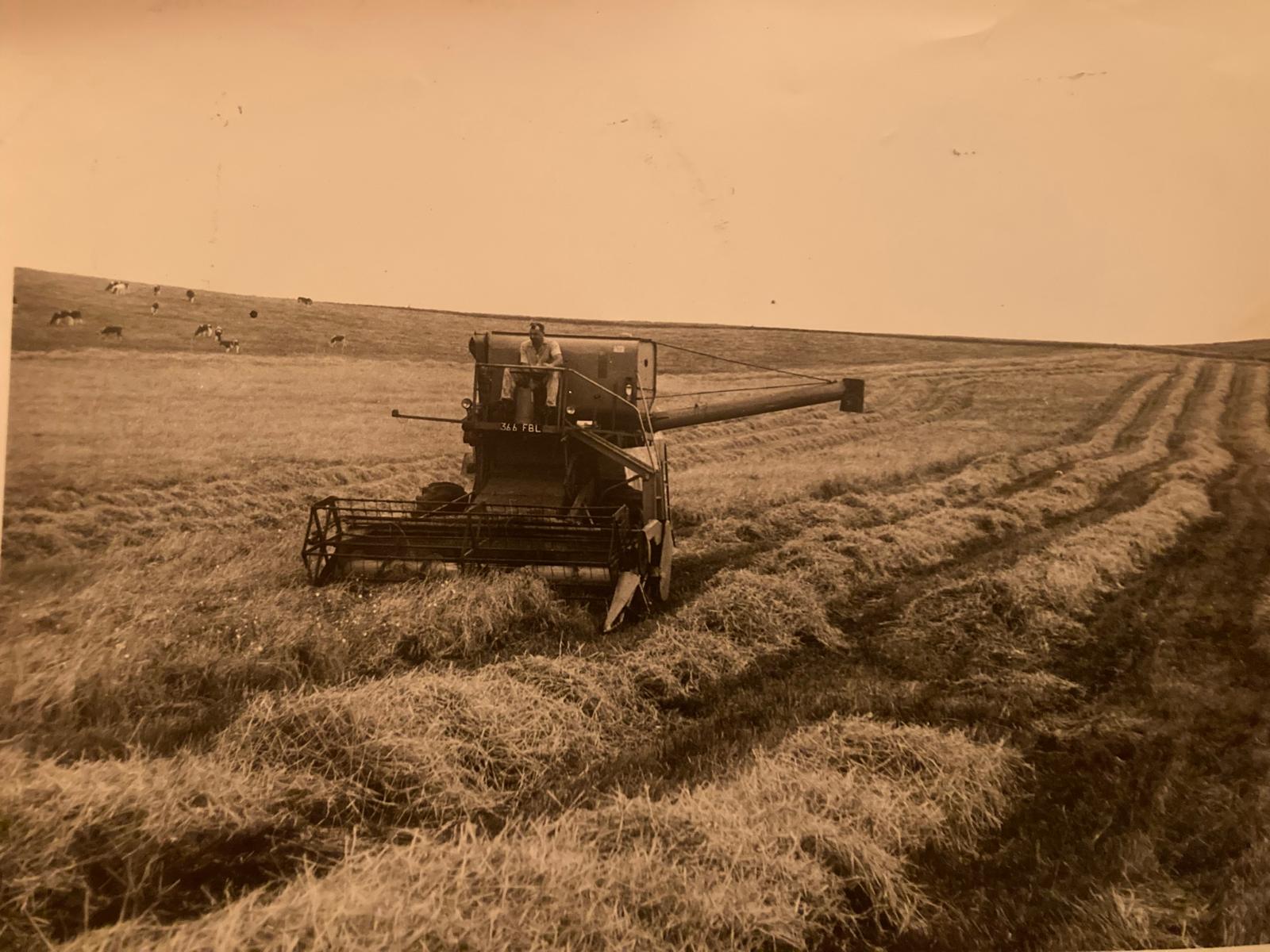 Vintage sepia-toned photograph of a combine harvester in a field