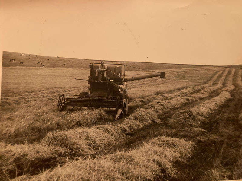 1969