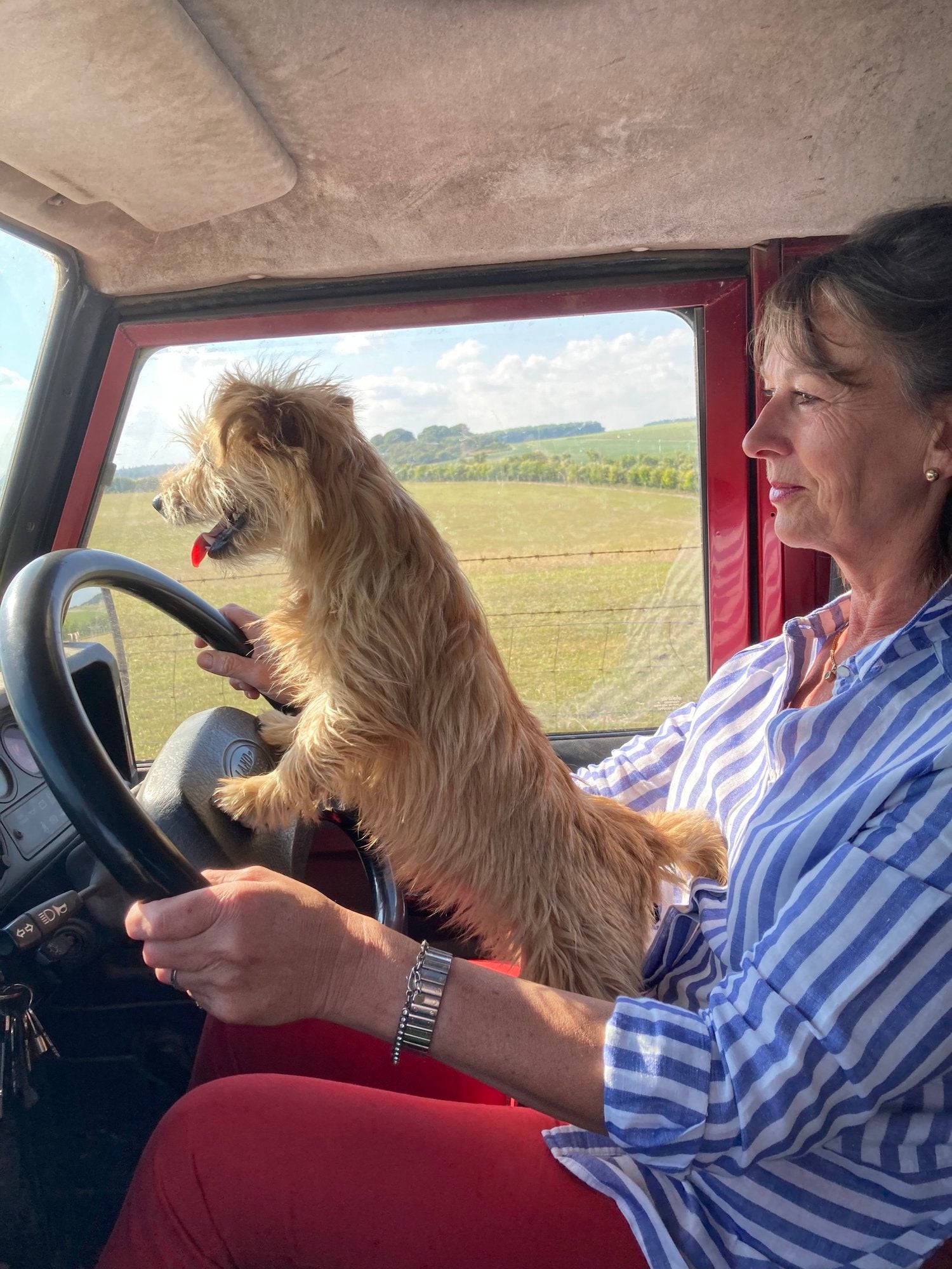 Woman sitting in a vehicle with a dog on her lap, looking out the window at a scenic view.